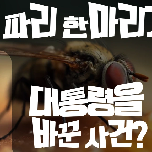 SE-3921838b-6eca-40d1-a86e-8481ab327c52.png?type=w580