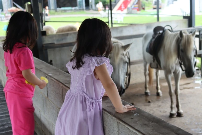 IMG_2308.JPG?type=w773