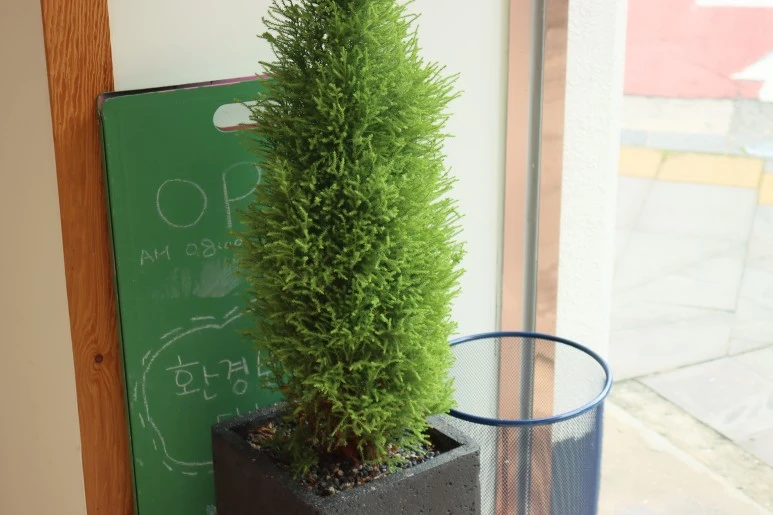 IMG_6976.JPG?type=w773