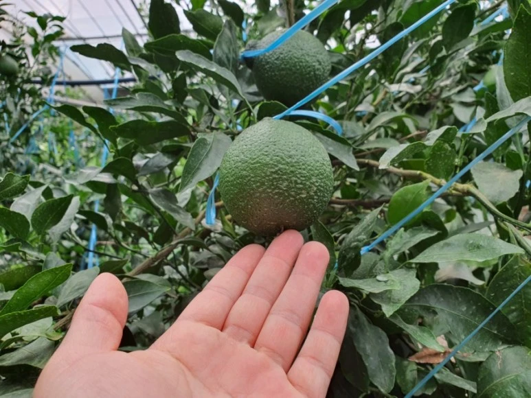 1600923189369.jpg?type=w773