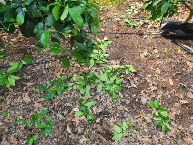 20210305%EF%BC%BF095607.jpg?type=w773