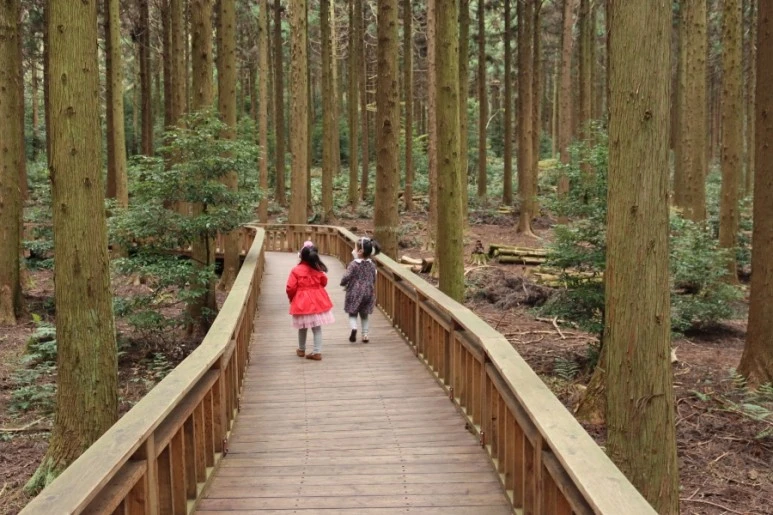 20211116125638%EF%BC%BFIMG%EF%BC%BF5761.JPG?type=w773