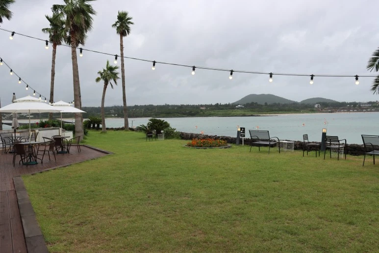 IMG_3152.JPG?type=w773