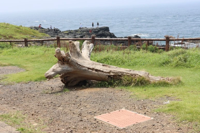 IMG_2672.JPG?type=w773