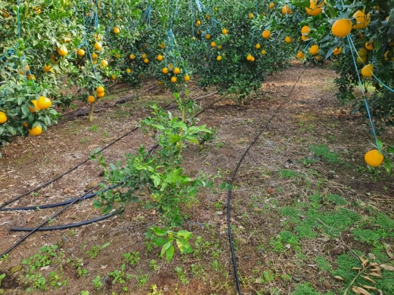 20201120%EF%BC%BF091435.jpg?type=w773