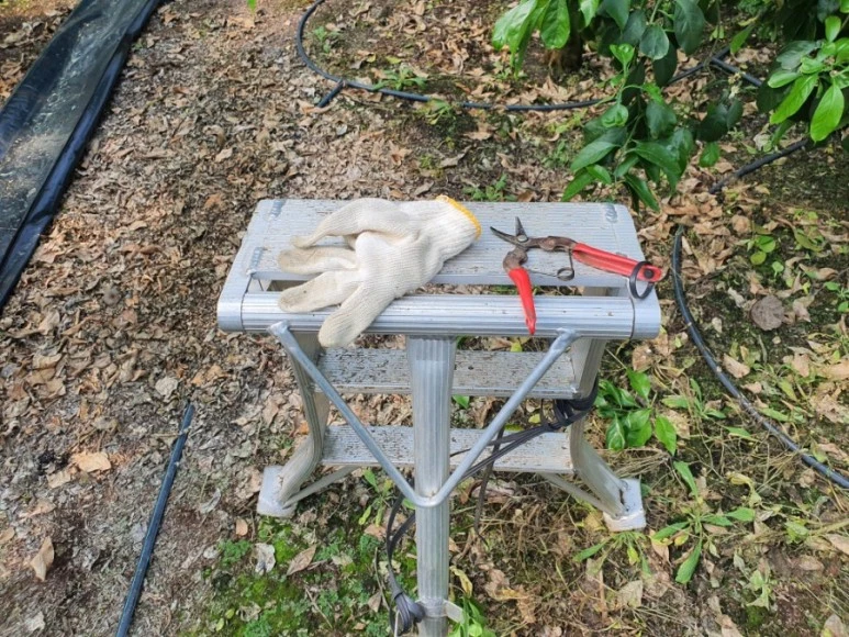 20210305%EF%BC%BF111426.jpg?type=w773