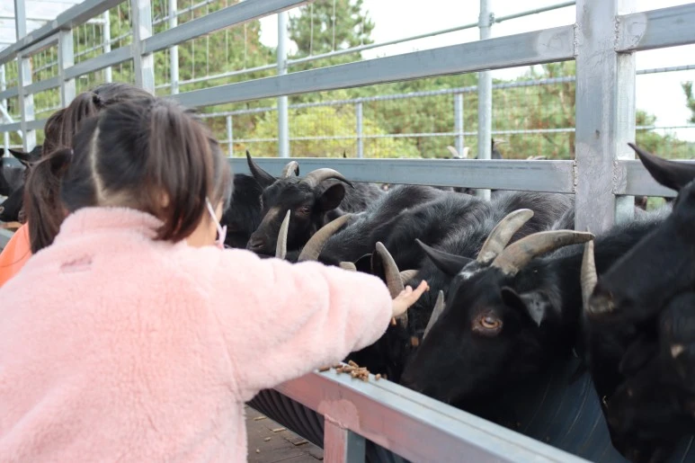 IMG_4319.JPG?type=w773