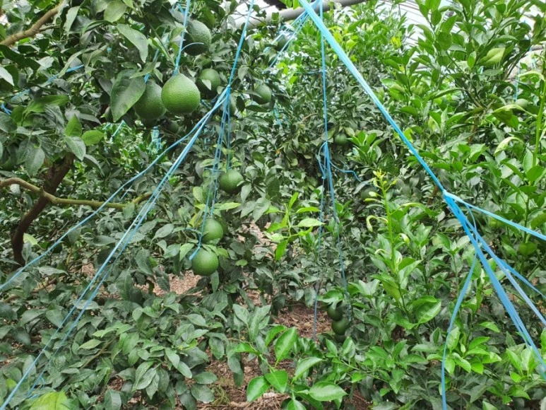 1600923190760.jpg?type=w773