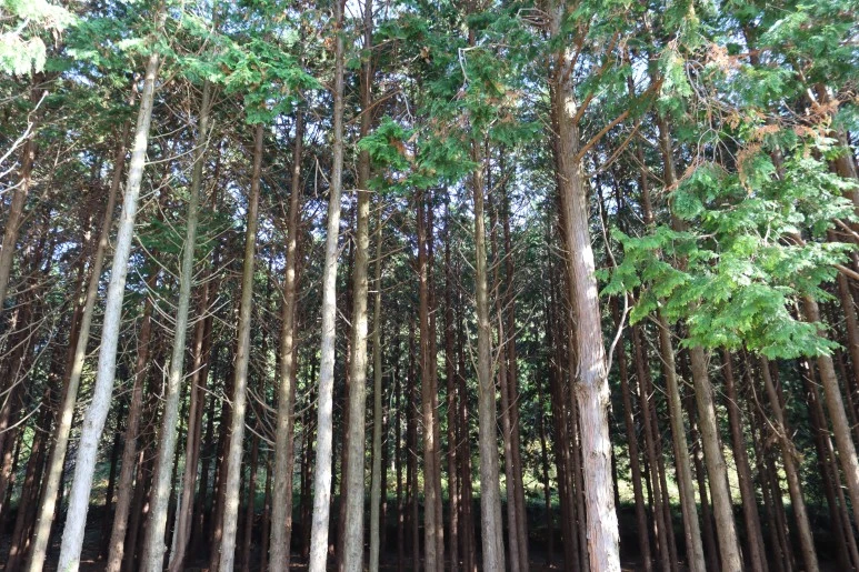 IMG_4237.JPG?type=w773