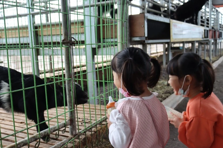 IMG_4378.JPG?type=w773