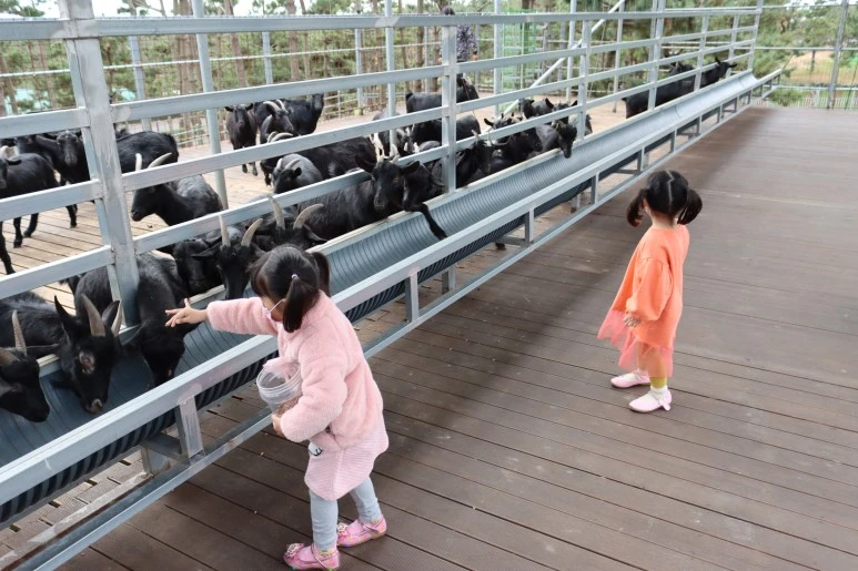 IMG_4301.JPG?type=w773