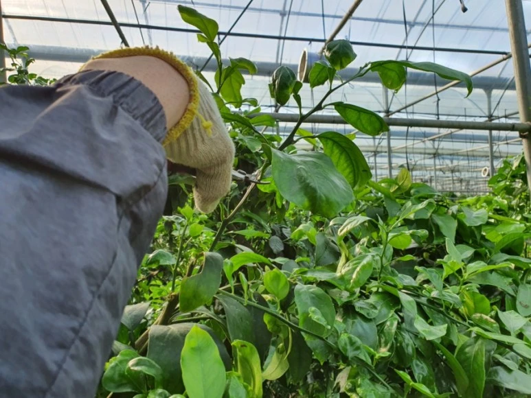 20210305%EF%BC%BF092121.jpg?type=w773