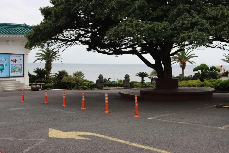 IMG_3937.JPG?type=w773