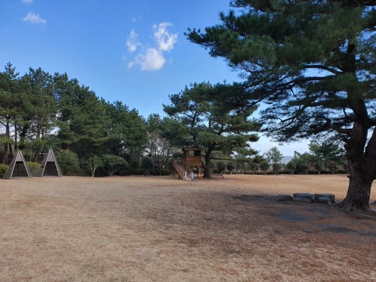 20211219%EF%BC%BF135902.jpg?type=w773