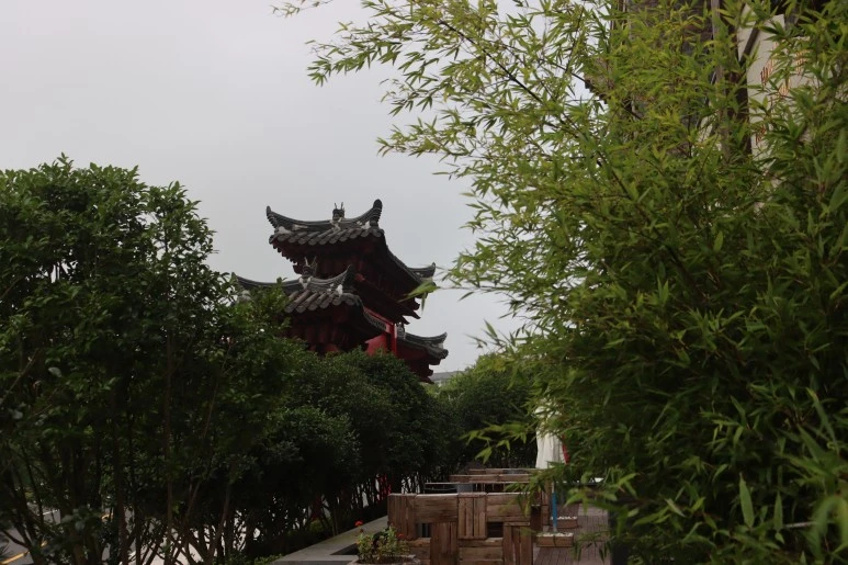 IMG_2870.JPG?type=w773