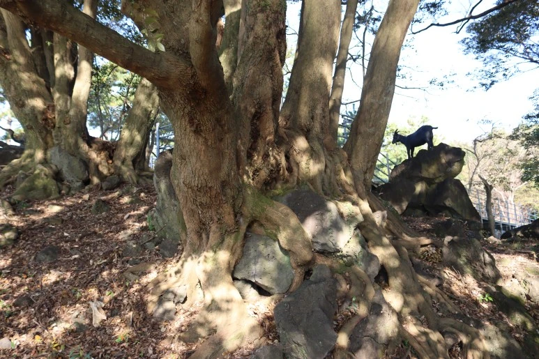 IMG_4260.JPG?type=w773