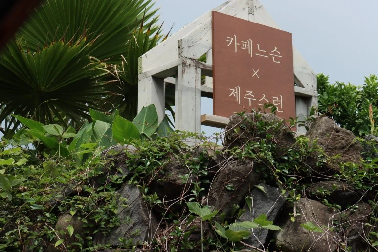 IMG_6693.JPG?type=w773