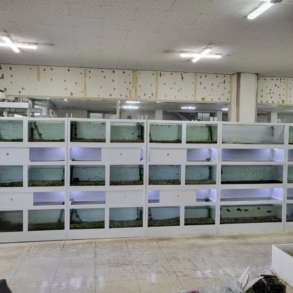 20221010%EF%BC%BF162510.jpg?type=w580