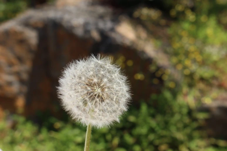 IMG_6235.JPG?type=w773