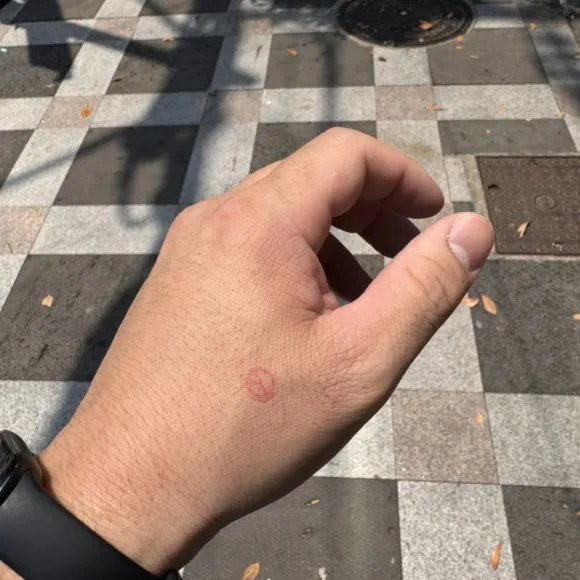 IMG%EF%BC%BF8828.jpg?type=w580