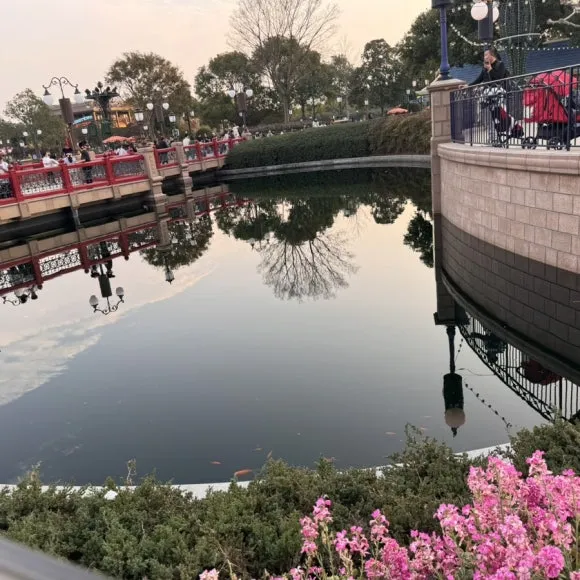 IMG_8064.jpg?type=w580