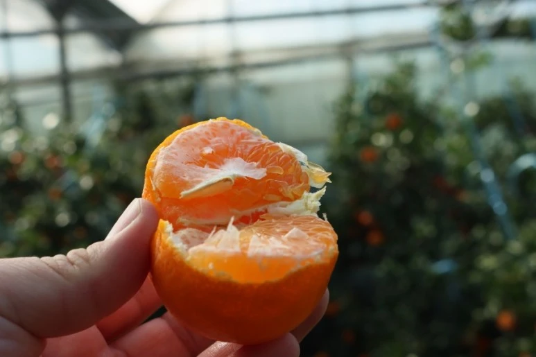 20211217132337%EF%BC%BFIMG%EF%BC%BF5783.JPG?type=w773