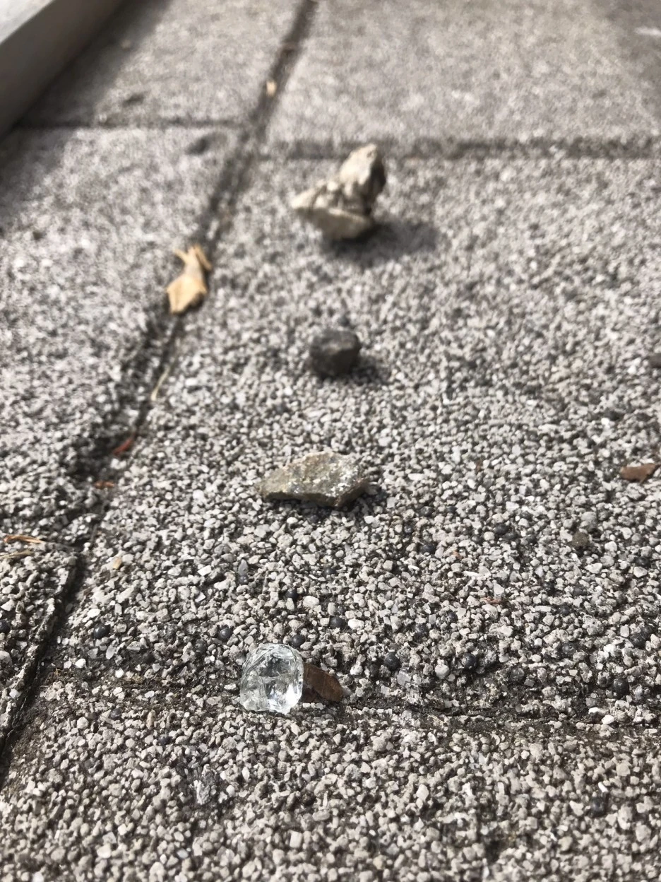 IMG_6807.jpeg?type=w1