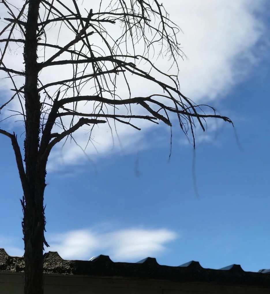 997437AD-3503-44B6-8C00-318F124586A3_(1).jpg?type=w1