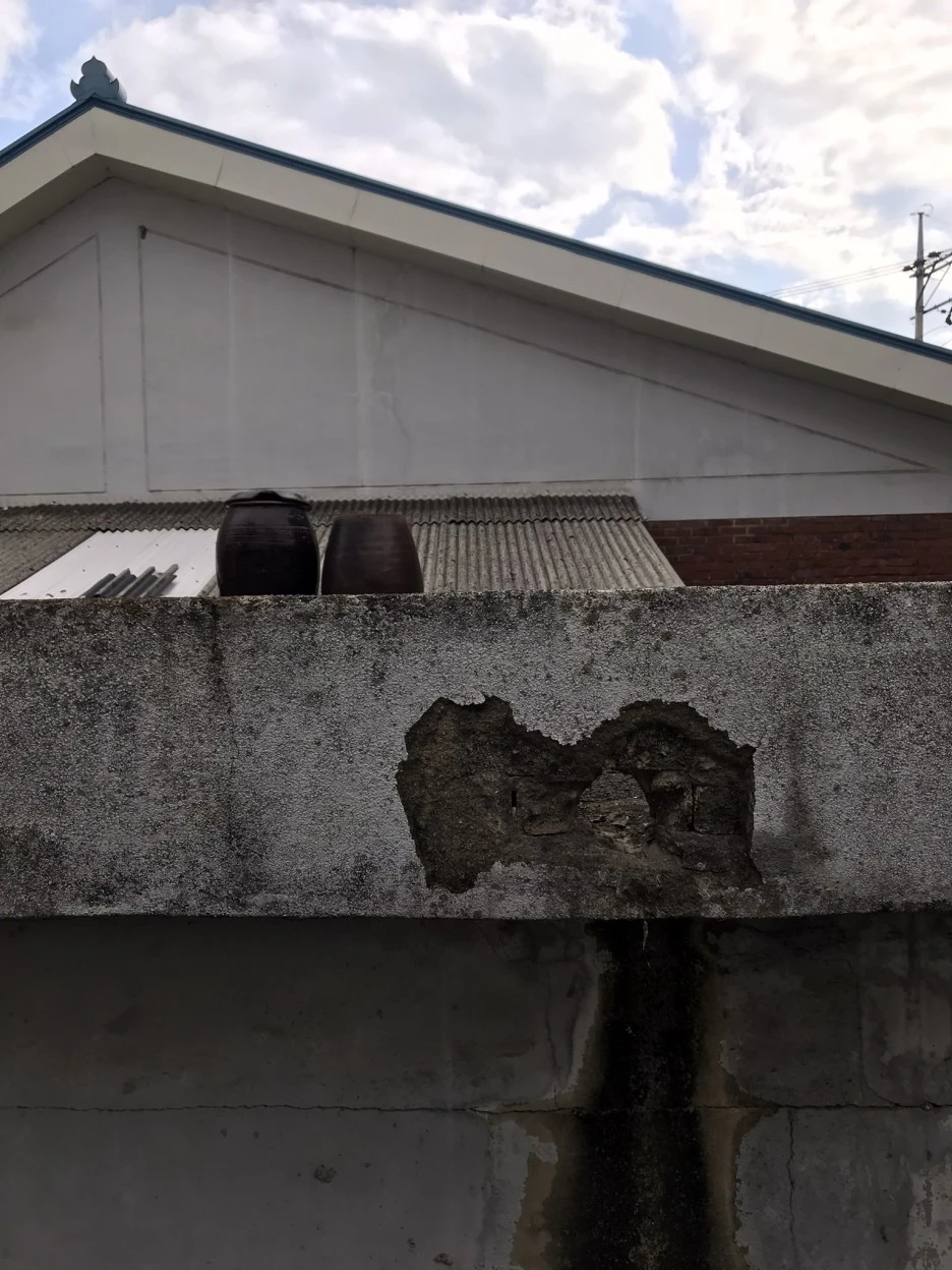 IMG_2586_(1).jpeg?type=w1