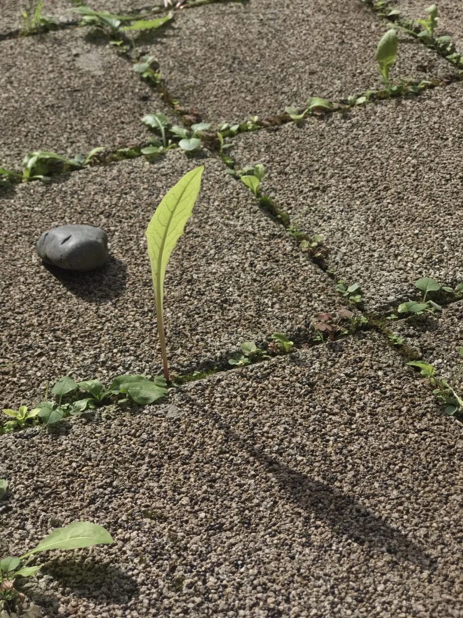 IMG_6893.jpeg?type=w1