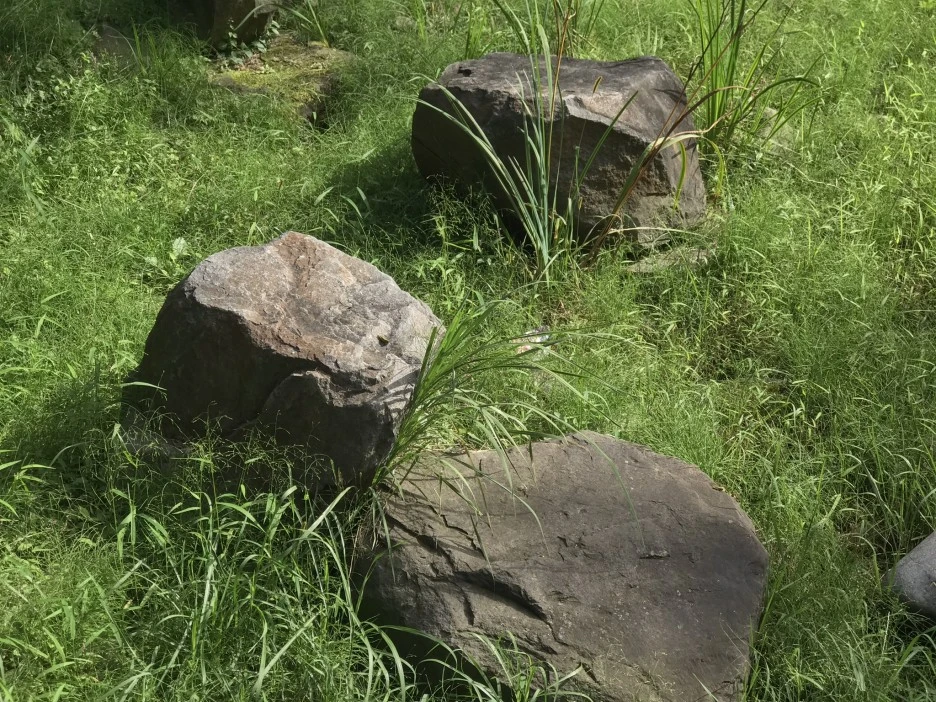 IMG_6895.jpeg?type=w1