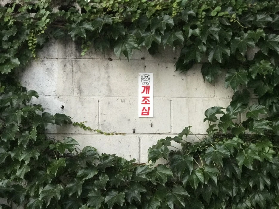 IMG_3484.jpeg?type=w1