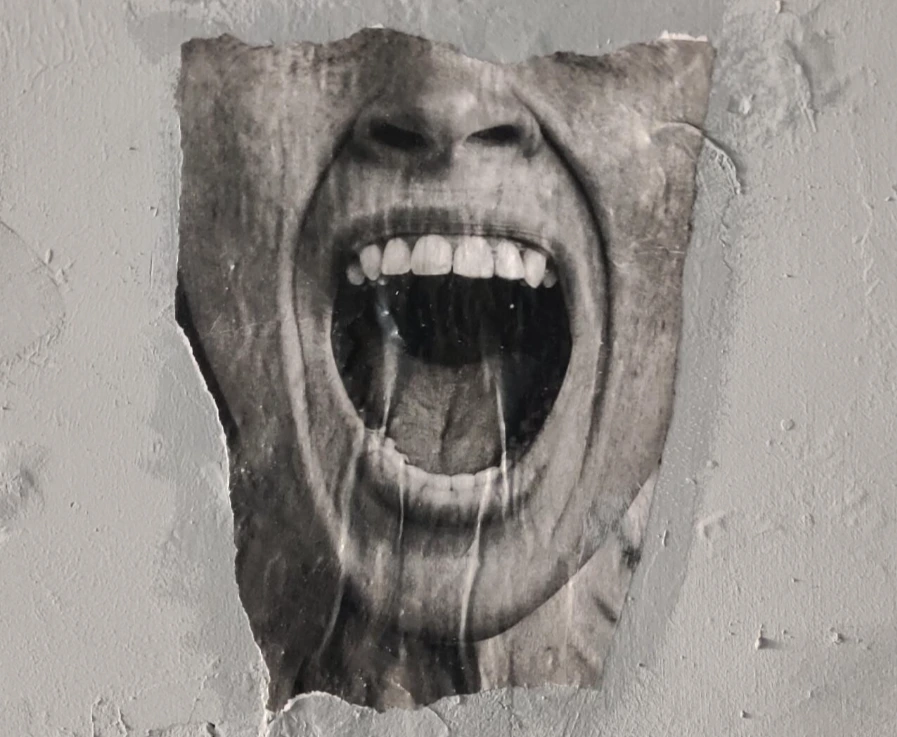 photo-1605992052511-03d7c6cb9c23?ixlib=rb-1.2.1&ixid=MnwxMjA3fDB8MHxzZWFyY2h8M3x8c2hvdXR8ZW58MHx8MHx8&w=1000&q=80