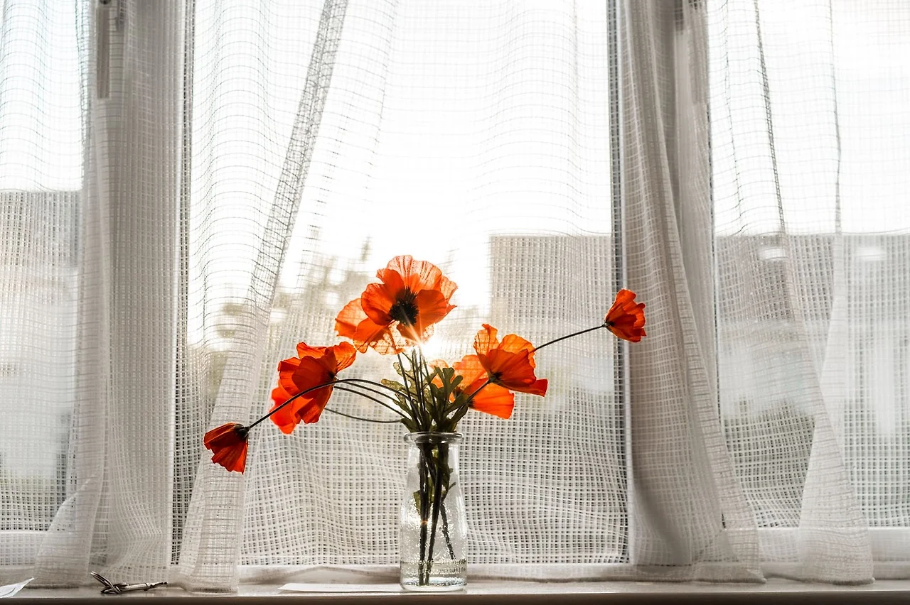 9urYYn_caegZZNNnAkpfT_CLz1vR_HHlcMXabn_SaPUe0qVx9k0Q3RJpQ2vPLW1oXU-CKbKhLYt7Fi71d9dP5hLzxSyZoRdu9s29lRQnZub84Vy354c7b0sqnhXGr7mH59vJ7gsGiNZOU8kBLWJkRLI