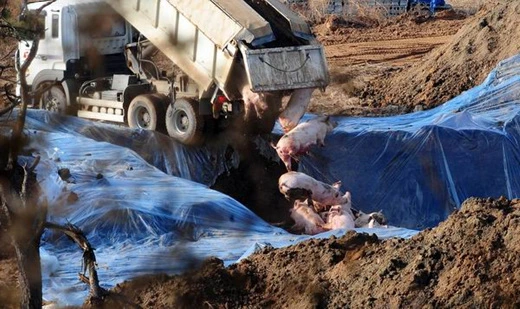 60110114103738(3).JPG?type=w860