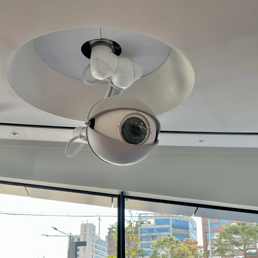 IMG_1955.jpg?type=w1