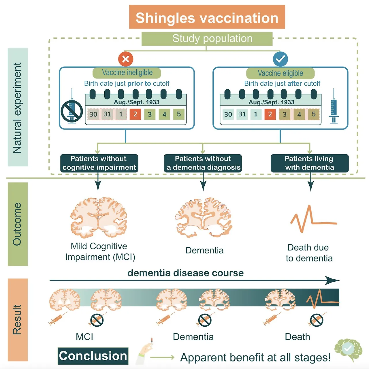 Shingles vaccination reduces dementia risk.jpeg