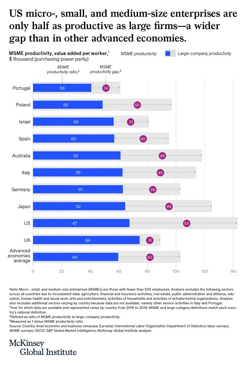 Productivity large and SME by country.jpeg
