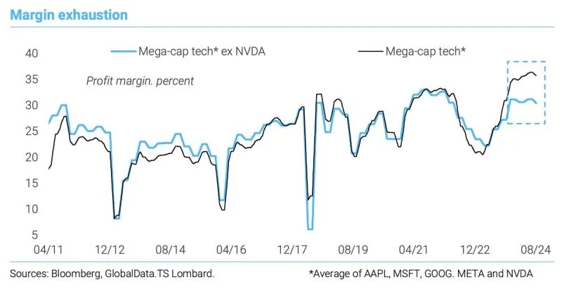 Magnificent 7 Profit margins 2012 to 2024-08.jpeg