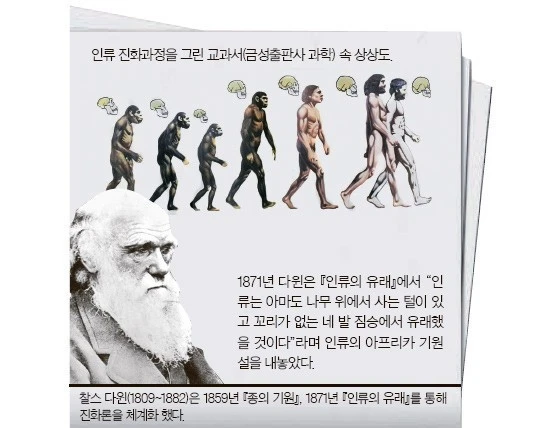 1_74aUd018svc1i9t3veuxo20q_ea0gw3.jpg?type=e1920_std