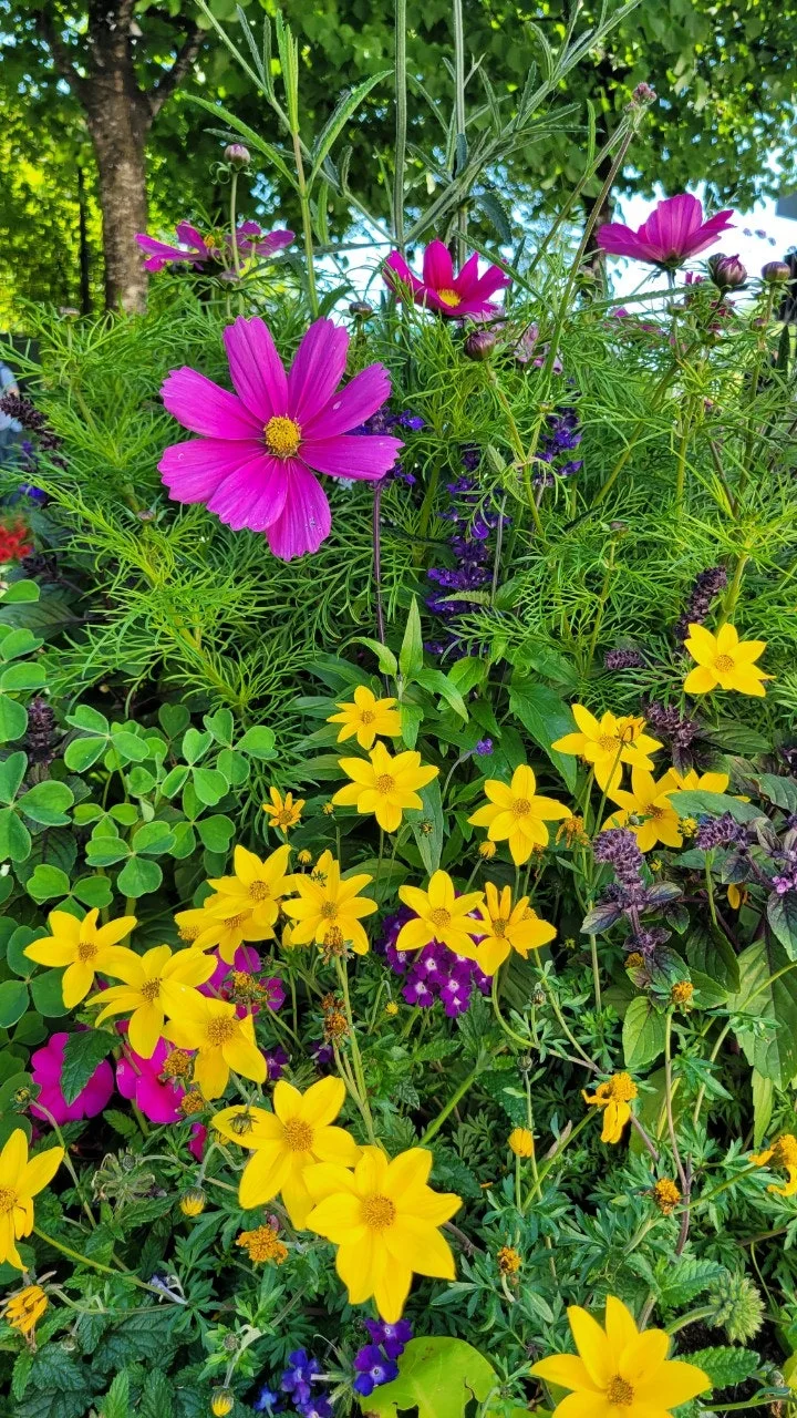 9_50eUd018svcrcj2vurn8wp6_ea0gw3.jpg?type=e1920_std