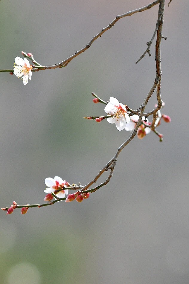 3_65hUd018svc3umetvnlamxl_ea0gw3.jpeg?type=e1920_std