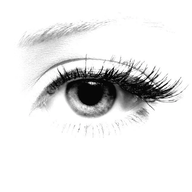 1_fhcUd018svcmsg5hda0k0on_ea0gw3.jpg?type=e1920_std