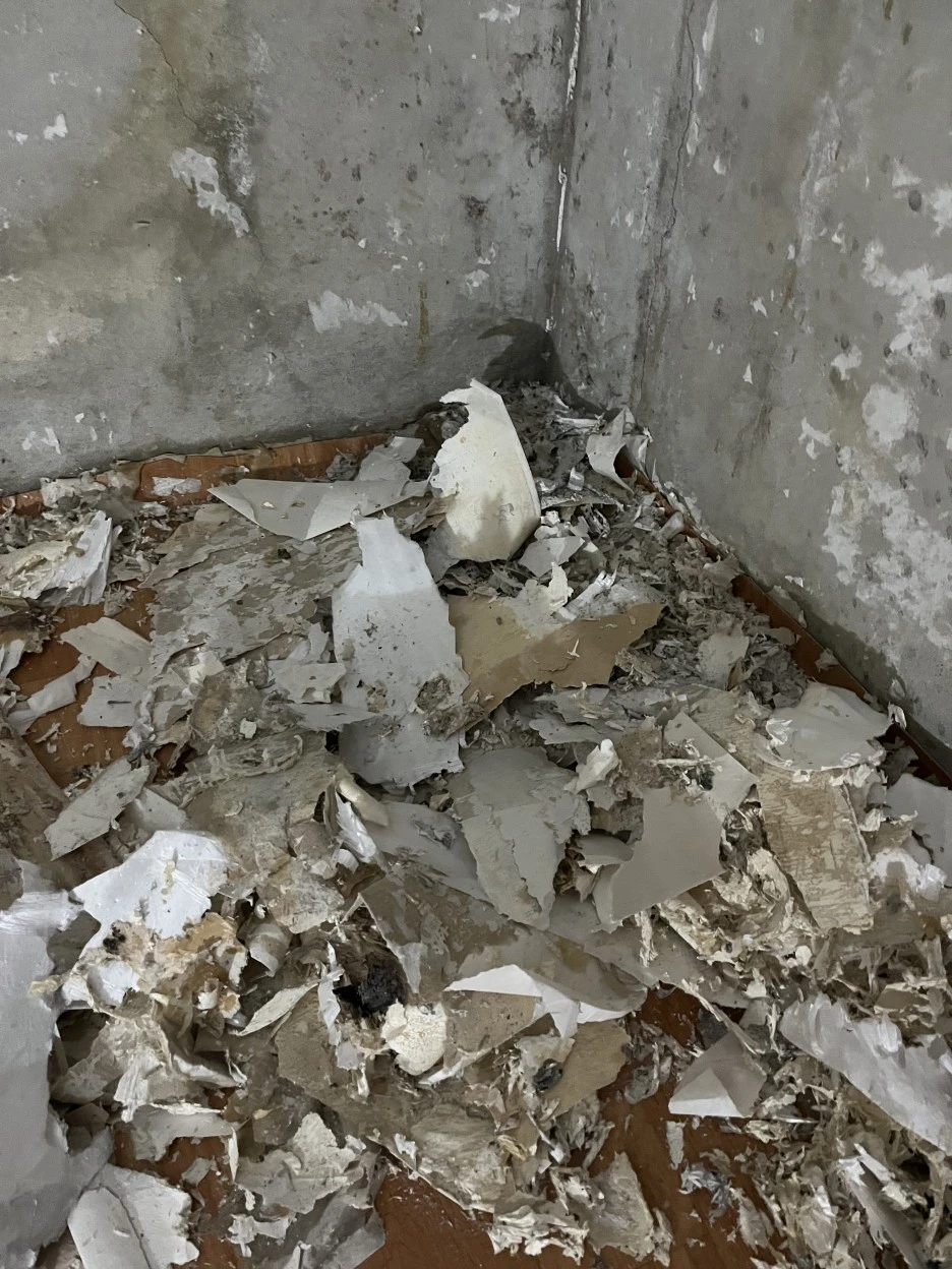 IMG_3561.jpg?type=w1