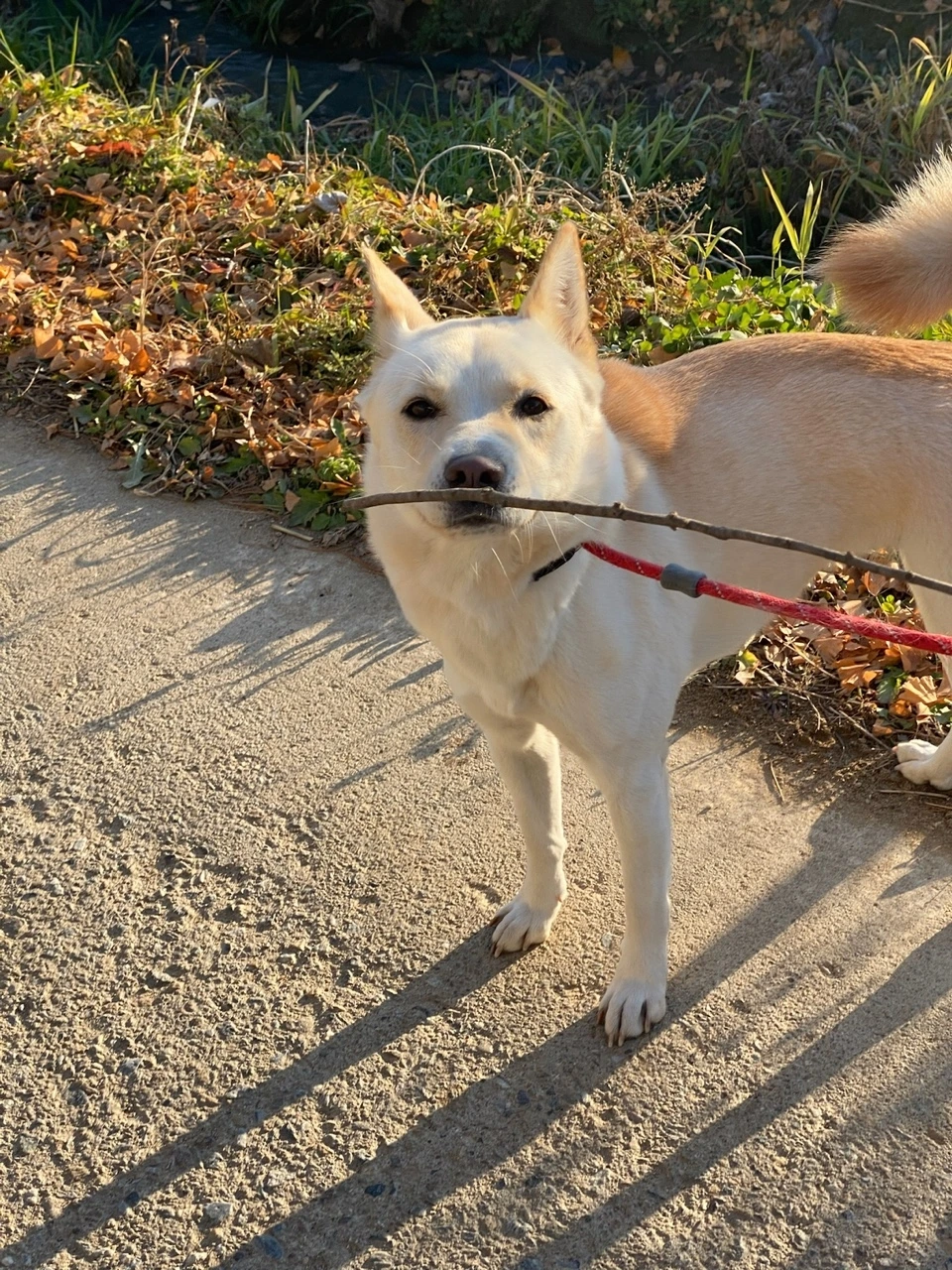 KakaoTalk_Photo_2022-01-07-15-59-04 004.jpeg