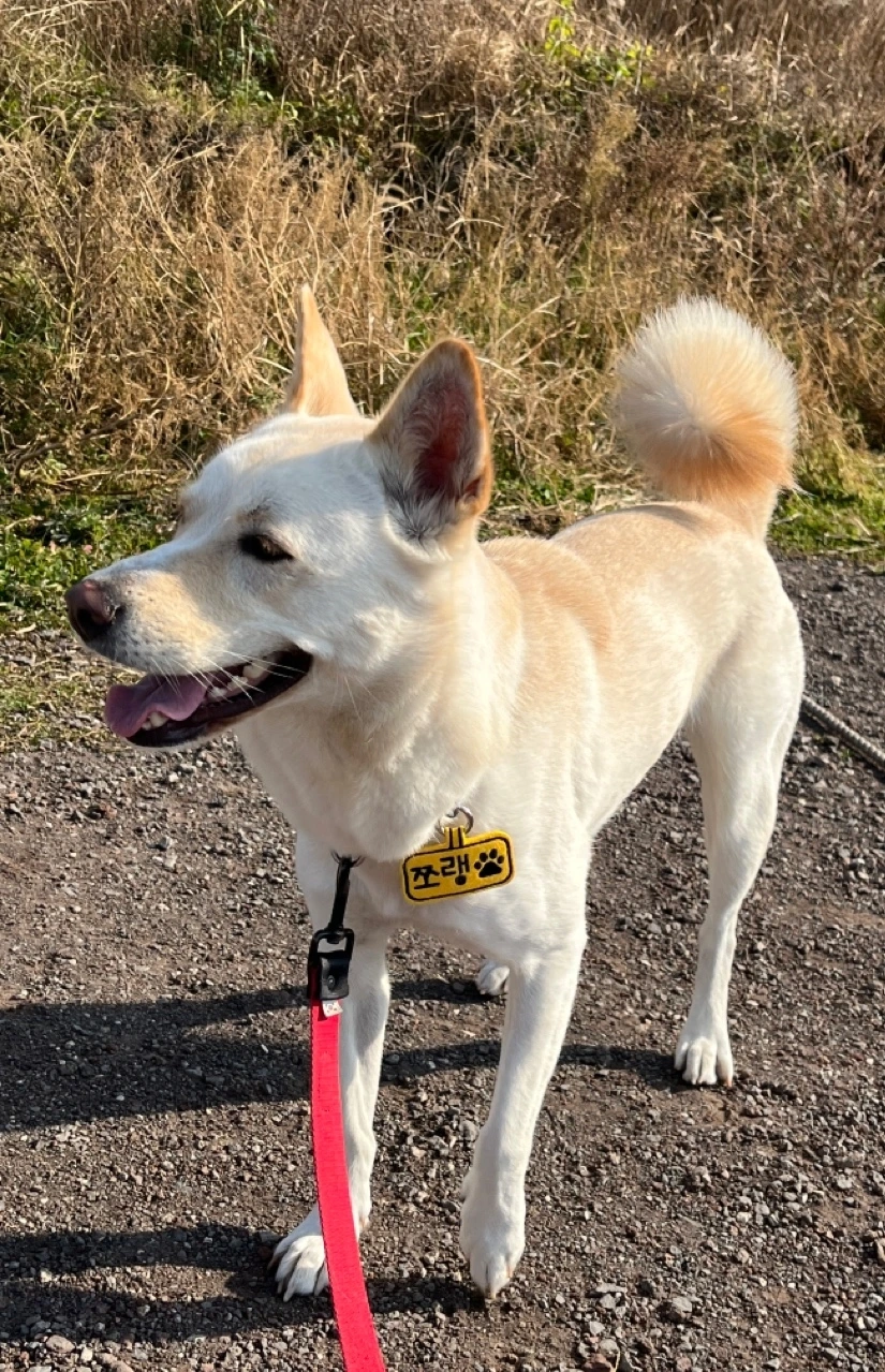 KakaoTalk_Photo_2022-01-07-15-59-04 001.jpeg