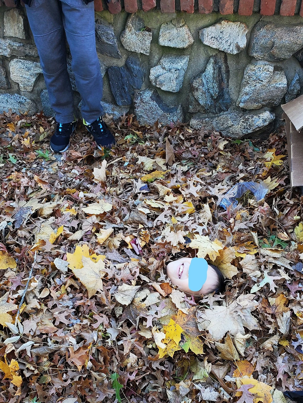 SE-c9a12271-802d-43b5-b7a0-fb87576f4bb7.jpg?type=w1600