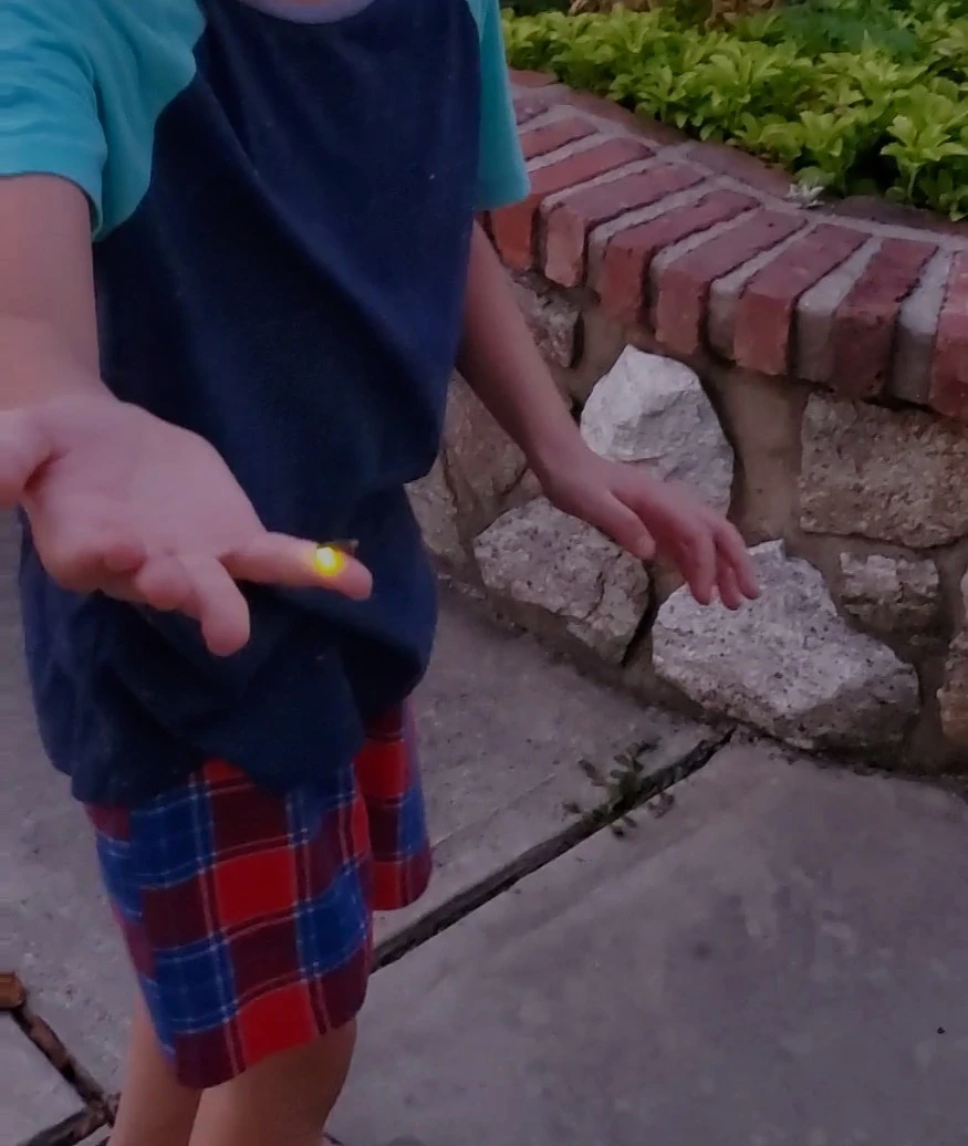 20200705_204510_exported_10880_1594040133583.jpg?type=w1600