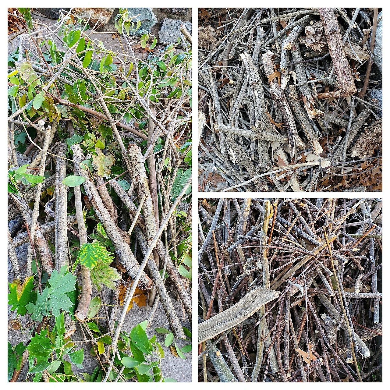 20211107_080225-COLLAGE_(1).jpg?type=w1600