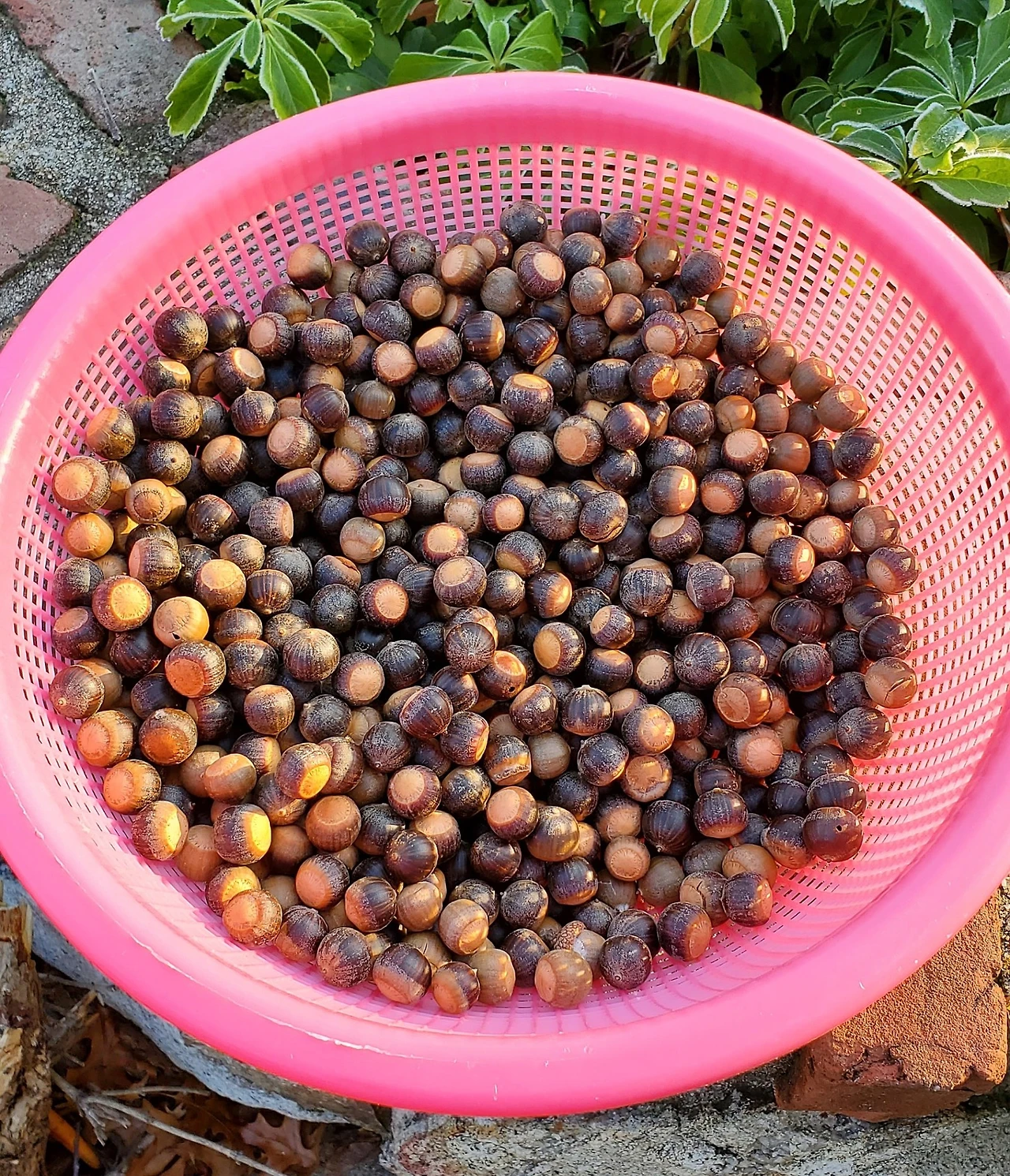 SE-bed4135d-12ff-40f7-aa11-f287a67e25df.jpg?type=w1600